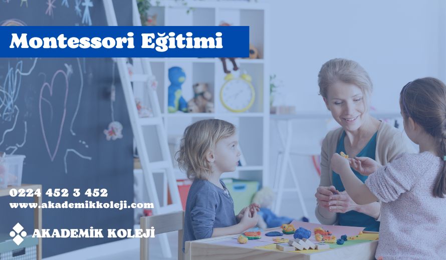 Montessori Eğitimi